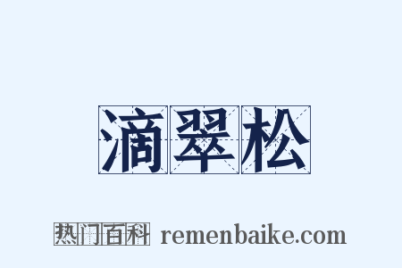 滴翠松是什么意思的图片